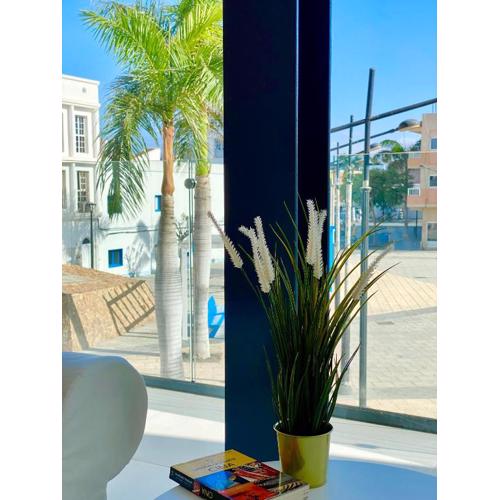 Canarian Sun Apartment 2
