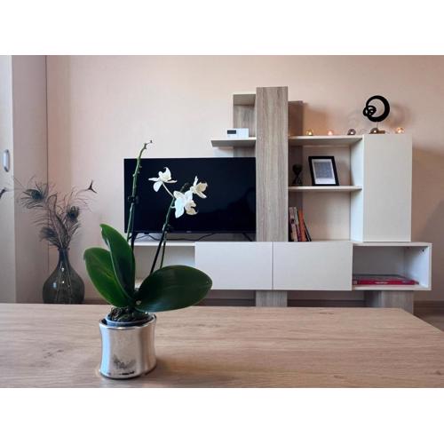 Cappuccino apartment
