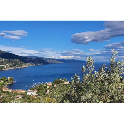Caraluna Vacanze - Rapallo