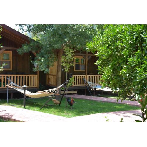 Caretta Caretta Pension