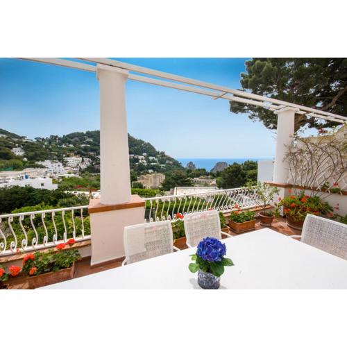Carthusia Suites