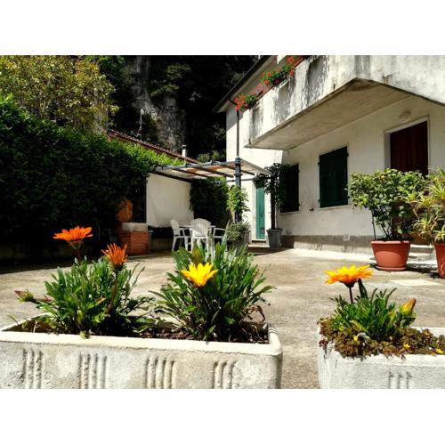 Casa Alma