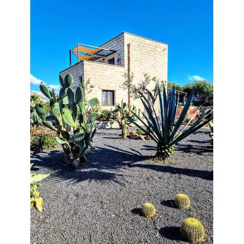 Casa Armonia