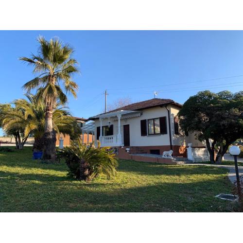 Casa Aurea