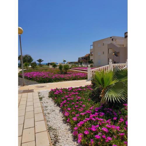 Casa baja naturista con palmeras y patio!