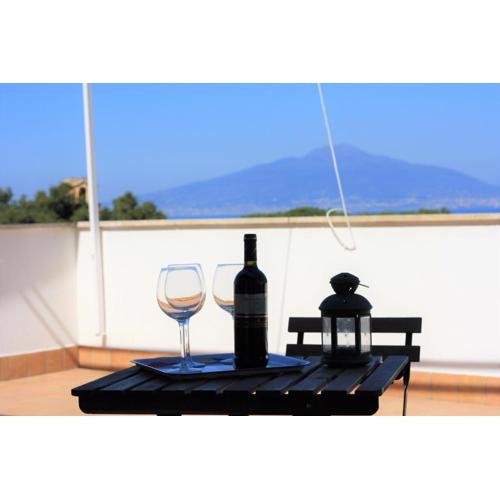 Casa Bice Amazing view of Vesuvius with Pool