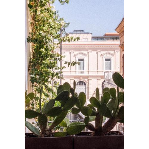 Casa Calamondino
