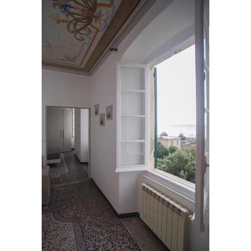CASA Candida