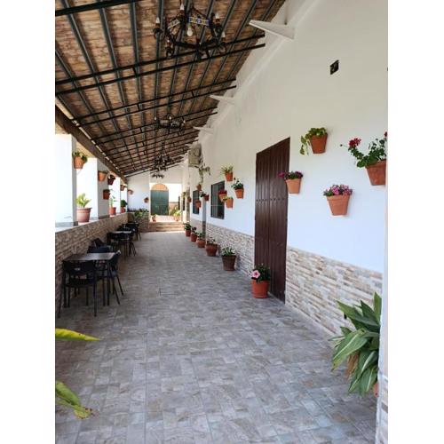 Casa Cortijo Olivar