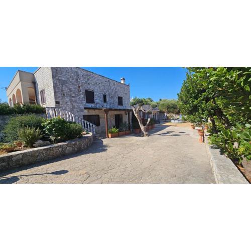 Casa DARIO