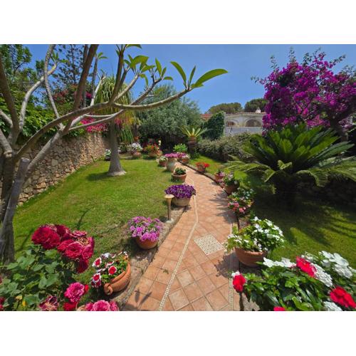 Casa delle Ortensie sulla spiaggia