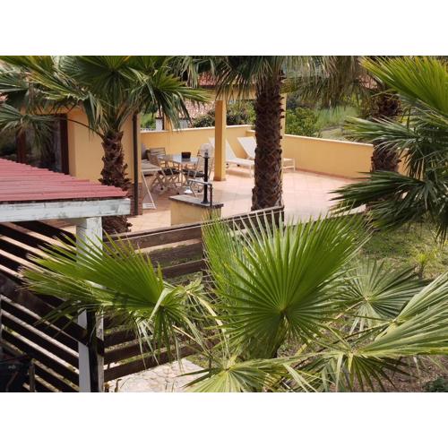 Casa delle palme