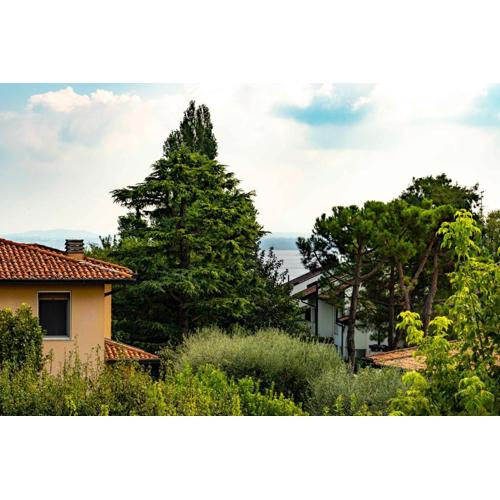 Casa di Loni