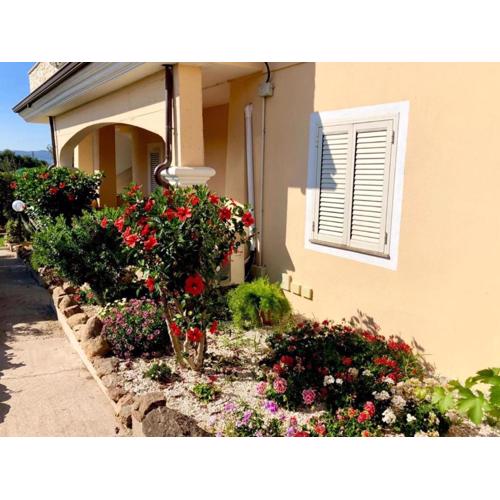 Casa Dolce Hibiscus