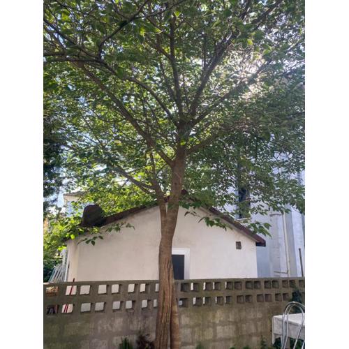 Casa Elisa 8