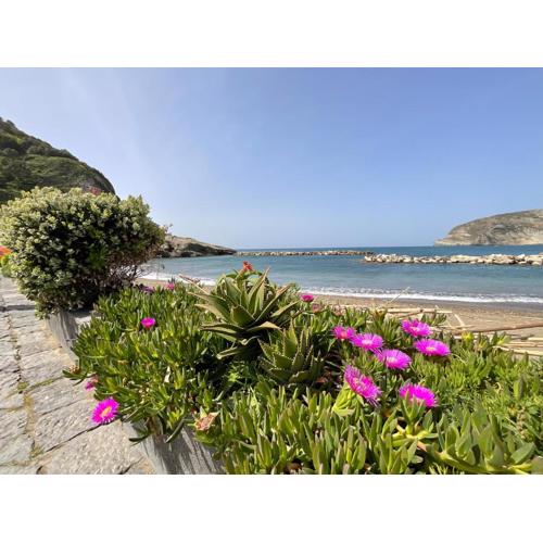 Casa Francesco Seaside
