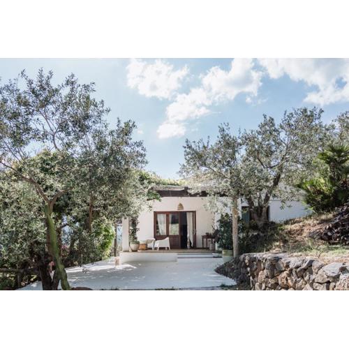 CASA FUILE by casa-orosei