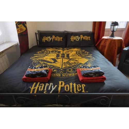 Casa Harry Potter