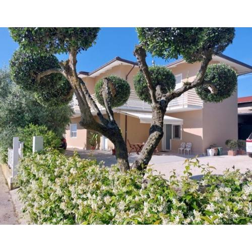 Casa immersa nel verde del parco del Conero