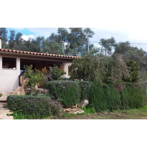 casa-lesia