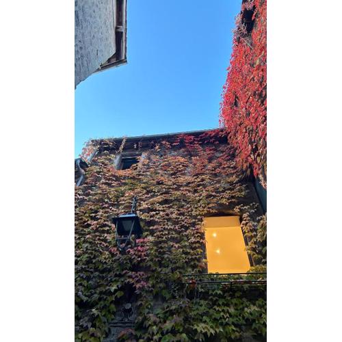 Casa Lunatica