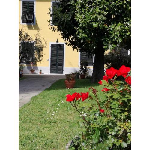 Casa Magnolia