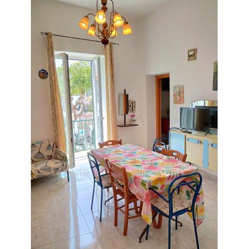 CASA MANU\
