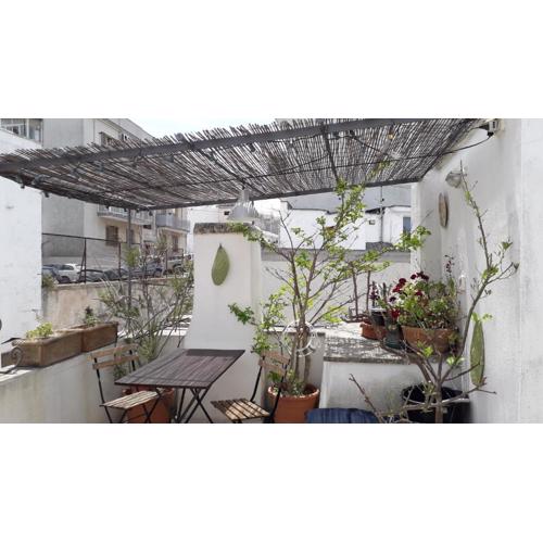 casa mia