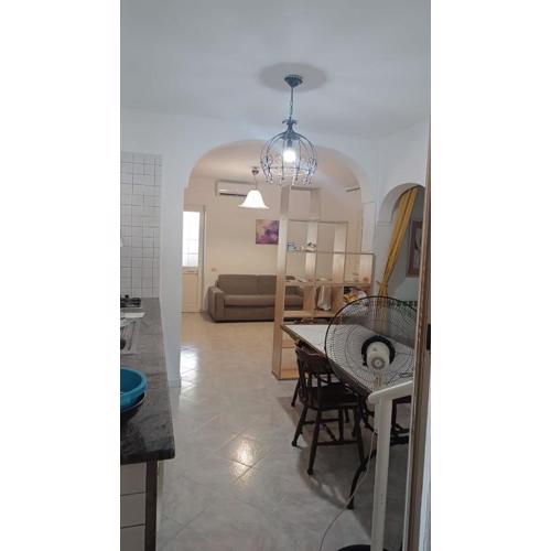 CASA MODEA