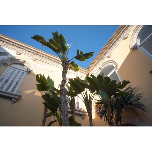 Casa ORCHIDEA D\
