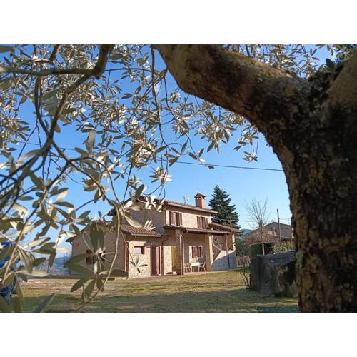 Casa Paradiso - Assisi