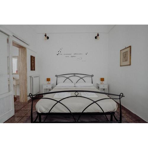 Casa Paulina