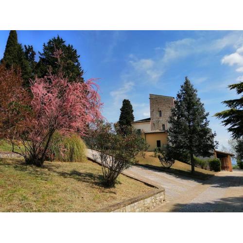 Casa per Ferie Ulivo d\