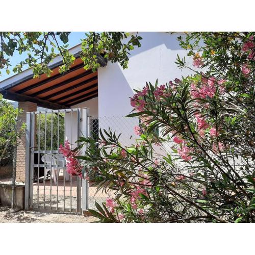 Casa Perla Iridella - Oleandro