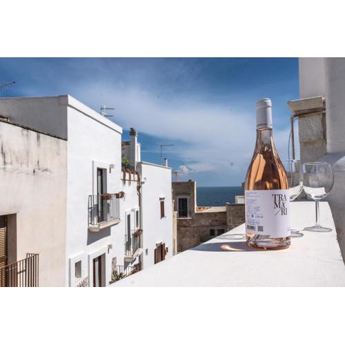 Casa Porta Picc