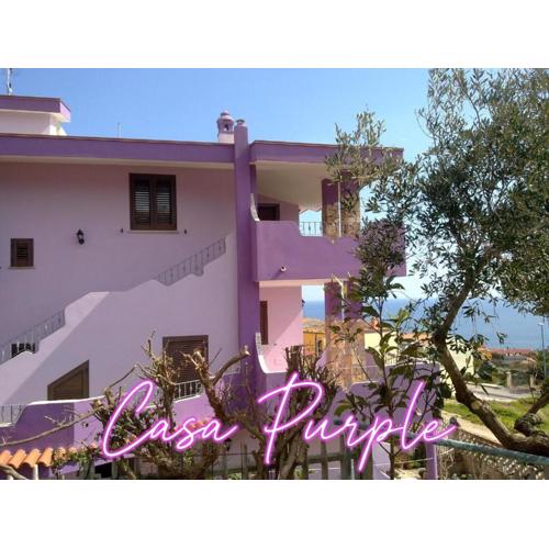 Casa Purple