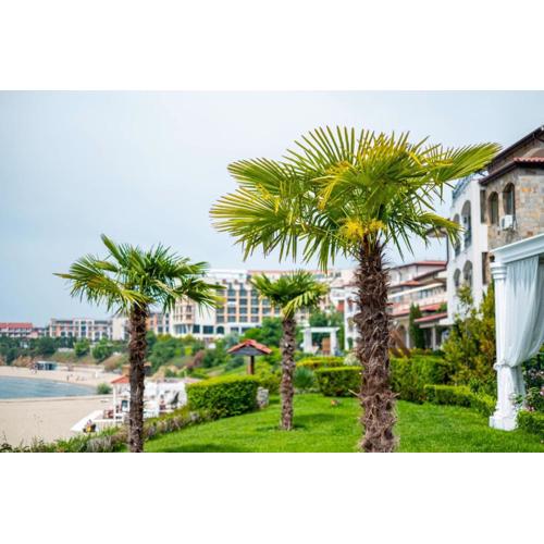 Casa Real II Apartments Frontline Beach