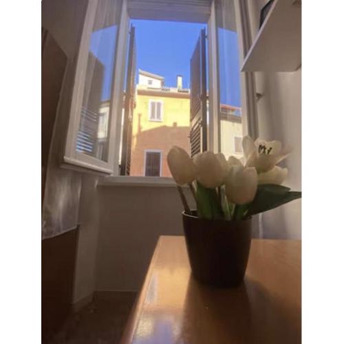 Casa Rella - Camera Green