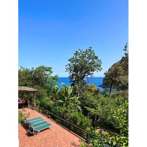 Casa Rosada - villa vista mare - Ischia