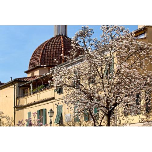 Casa San Girolamo Historic flat with cosy Terrace in Lucca\
