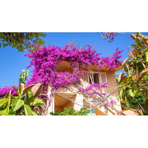 Casa Sinclair, air-con e giardino