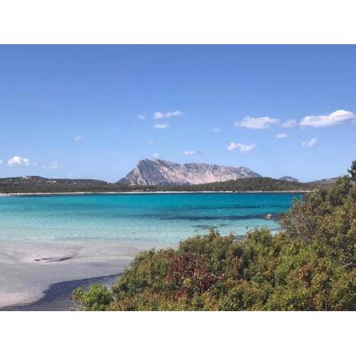 Casa Vacanze Ichnusa