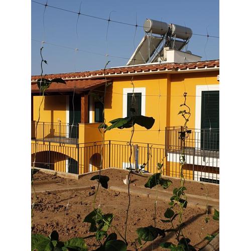 Casa Vacanze Il Frutteto