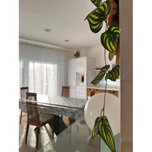 Casa Vacanze Roberta