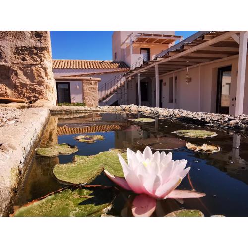 Casa Vacanze Senia Del Rais