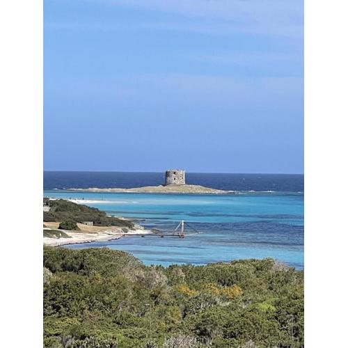 Casa vacanze Stintino vista mare