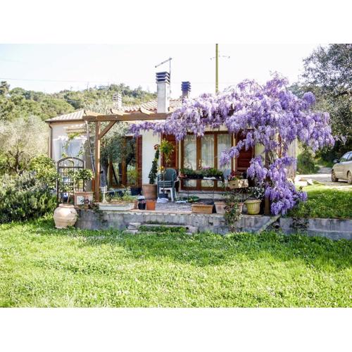 Casa Violet - Goelba