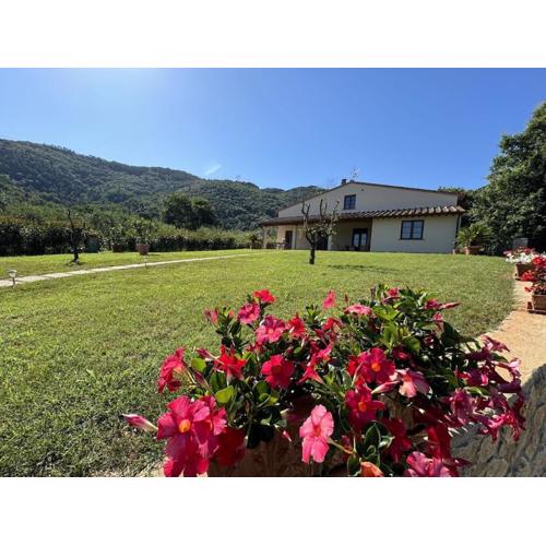 Casa Viviani