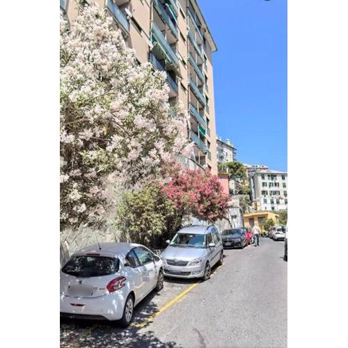 Casaberian Genoa-Genova-Marassi-Portofino-Ligure-Santa Margherita ITALY