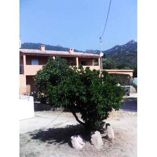 Casapiana 08